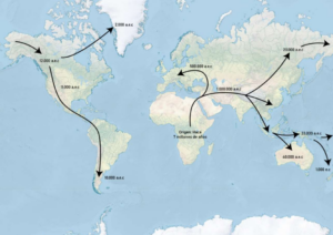 LAS PRIMERAS MIGRACIONES DE LOS HOMÍNIDOS